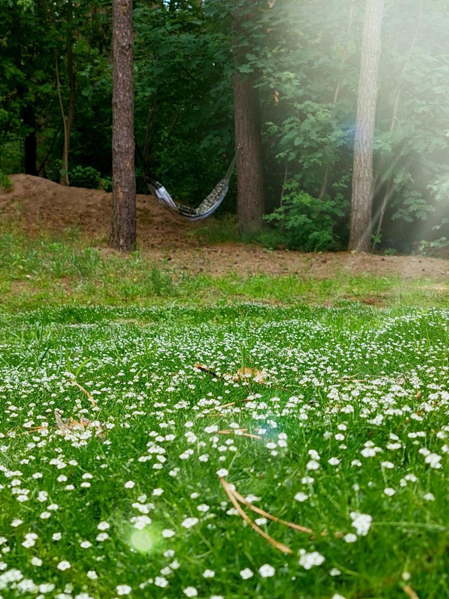 Forrest Style Pokoje Goscinne Warszawa Eksteriør billede